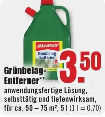 B1 Discount Baumarkt MELLERUD Grünbelag Entferner Angebot