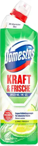 Kaufland Domestos WC Gel Kraft & Frische Angebot
