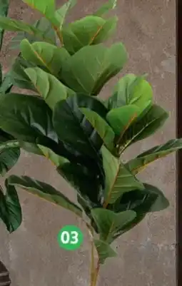 SCONTO Kunstpflanze Geigenfeige Angebot