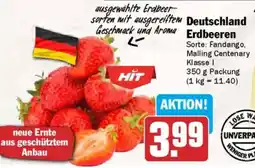 AEZ Deutschland Erdbeeren Angebot