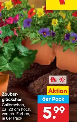 Netto Marken-Discount Zauber glöckchen Angebot