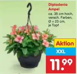 Netto Marken-Discount Dipladenia Ampel Angebot