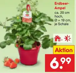Netto Marken-Discount Erdbeer Ampel Angebot