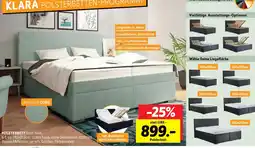SCONTO Polsterbett Angebot