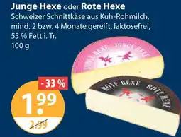 V Markt Junge hexe Angebot
