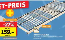 SCONTO Federholzrahmen Angebot