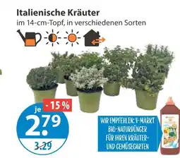 V Markt Italienische kräuter Angebot