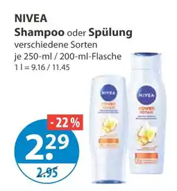 V Markt Nivea shampoo Angebot