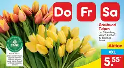 Netto Marken-Discount Großbund Tulpen Angebot