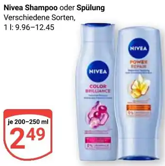 Globus Nivea Shampoo oder Spülung Angebot