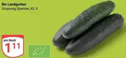Globus Bio Landgurken Angebot