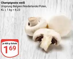 Globus Champignons weiß Angebot