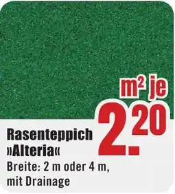 B1 Discount Baumarkt Rasenteppich Alteria Angebot