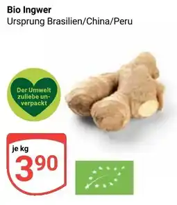 Globus Bio Ingwer Angebot