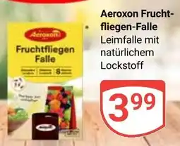 Globus Aeroxon Fruchtfliegen-Falle Angebot