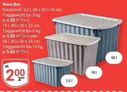 Globus Wave Box Angebot