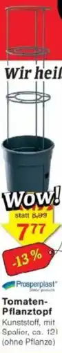 Jawoll Prosperplast Tomaten Pflanztopf Angebot