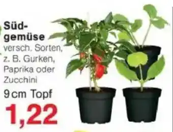 Jawoll Südgemüse Angebot
