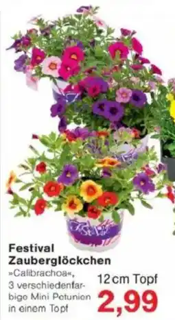 Jawoll Festival Zauberglöckchen Angebot