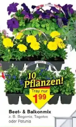 Jawoll Beet & Balkonmix Angebot