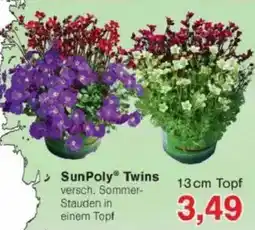 Jawoll SunPoly Twins Angebot