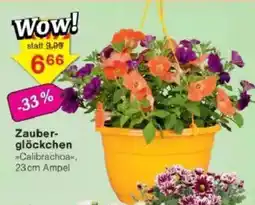 Jawoll Zauberglöckchen Angebot
