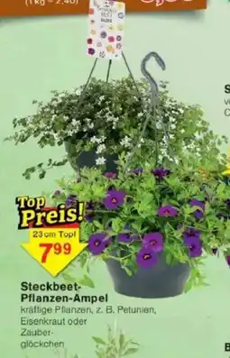 Jawoll Steckbeet Pflanzen-Ampel Angebot