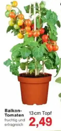 Jawoll Balkon Tomaten Angebot