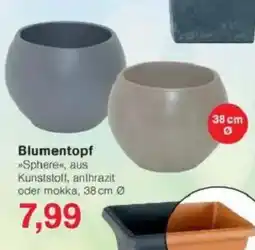 Jawoll Blumentopf Angebot