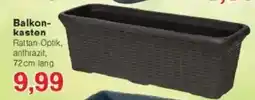 Jawoll Balkonkasten Angebot