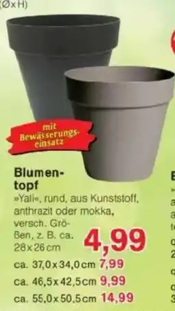 Jawoll Blumentopf Angebot
