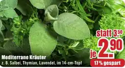 B1 Discount Baumarkt Mediterrane Kräuter Angebot