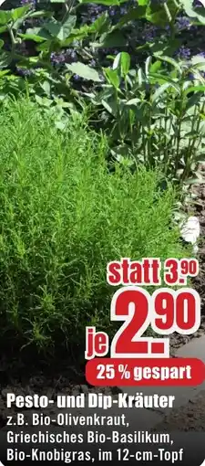 B1 Discount Baumarkt Pesto-und Dip-Kräuter Angebot