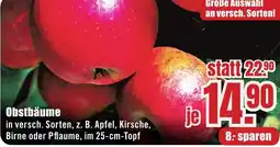 B1 Discount Baumarkt Obstbäume Angebot