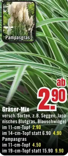 B1 Discount Baumarkt Gräser-Mix Angebot