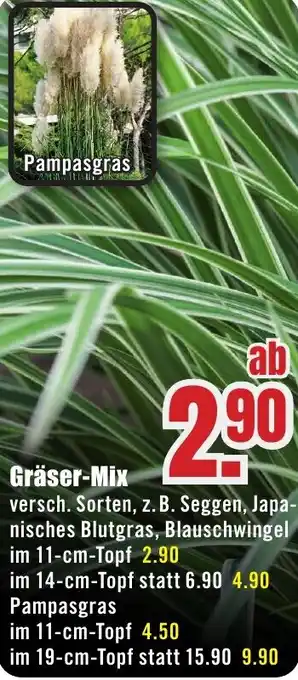 B1 Discount Baumarkt Gräser-Mix Angebot