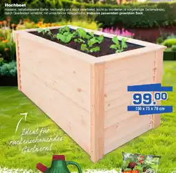 Bauzentrum Borgers Hochbeet Angebot