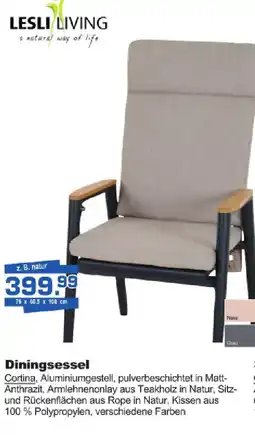 Bauzentrum Borgers LESLI LIVING Diningsessel Angebot