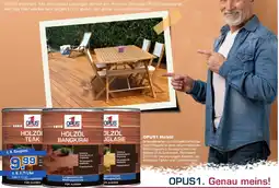 Bauzentrum Borgers OPUS1 Holzöl Angebot