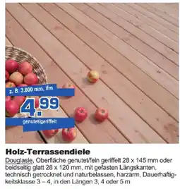 Bauzentrum Borgers Holz-Terrassendiele Angebot