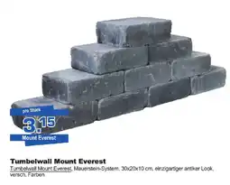 Bauzentrum Borgers Tumbelwall Mount Everest Angebot
