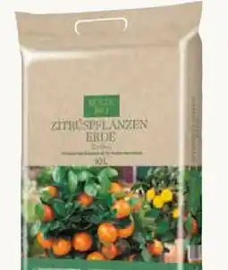 Pflanzen Kölle Kölle's Bio Pflanz-Erde Torffrei Angebot