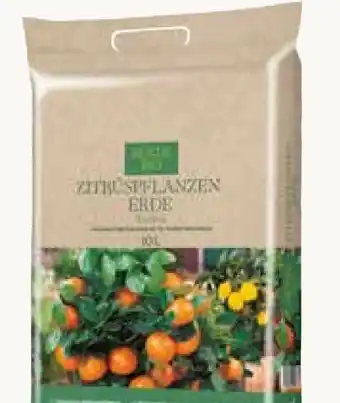 Pflanzen Kölle Kölle's Bio Pflanz-Erde Torffrei Angebot