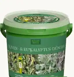 Pflanzen Kölle Kölle's Beste Oliven-& Eukalyptus-Dünger Angebot