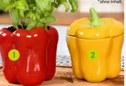 Pflanzen Kölle Dekorative Paprika Angebot