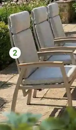 Pflanzen Kölle Kölle Hochlehnersessel Taunus Angebot