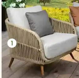 Pflanzen Kölle Kölle Loungesessel Cafune Angebot