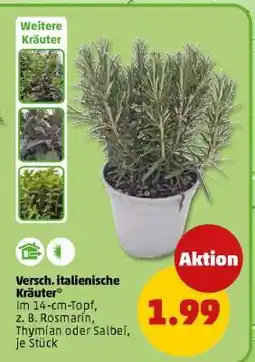 PENNY Versch. italienische Kräuter Angebot