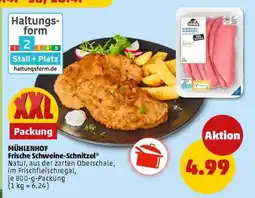 PENNY MÜHLENHOF Frische Schweine-Schnitzel Angebot