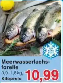 Jawoll Meerwasserlachs forelle Angebot